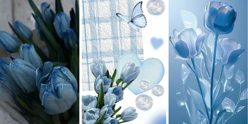 1001+ hình nền hoa tulip đẹp nhất cho điện thoại | Flosa Flower (4)