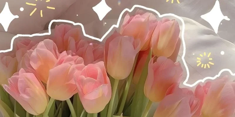 1001+ hình nền hoa tulip đẹp nhất cho điện thoại | Flosa Flower (3)