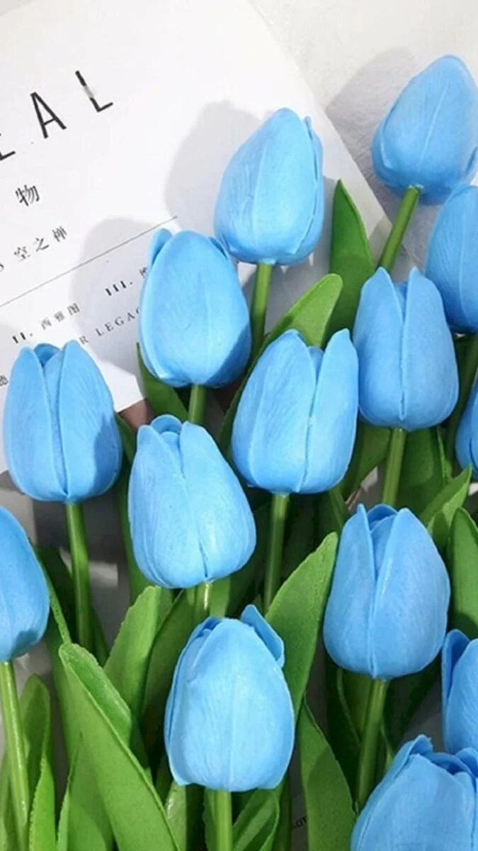 Ảnh nền hoa Tulip xanh 4k