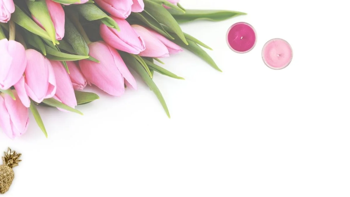 Hình nền máy tính hoa Tulip đẹp 2024
