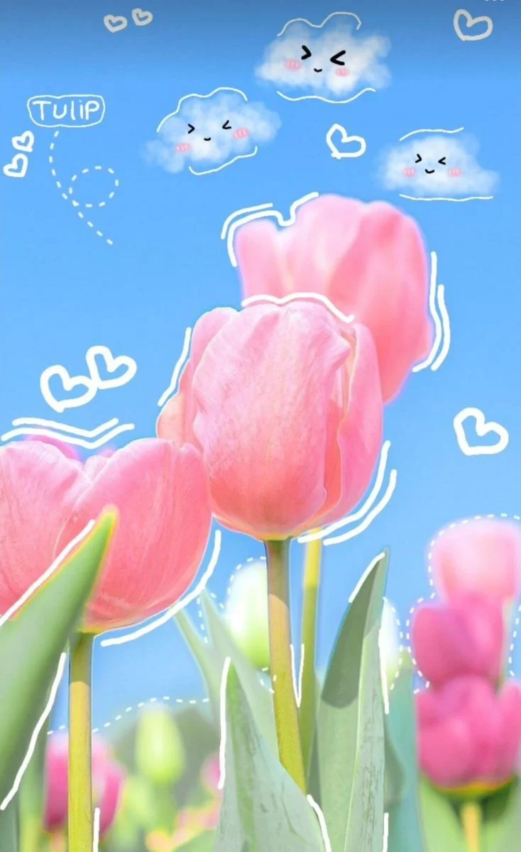 799+ Hình nền hoa tulip full hd 4K chill cute đẹp nhất miễn phí