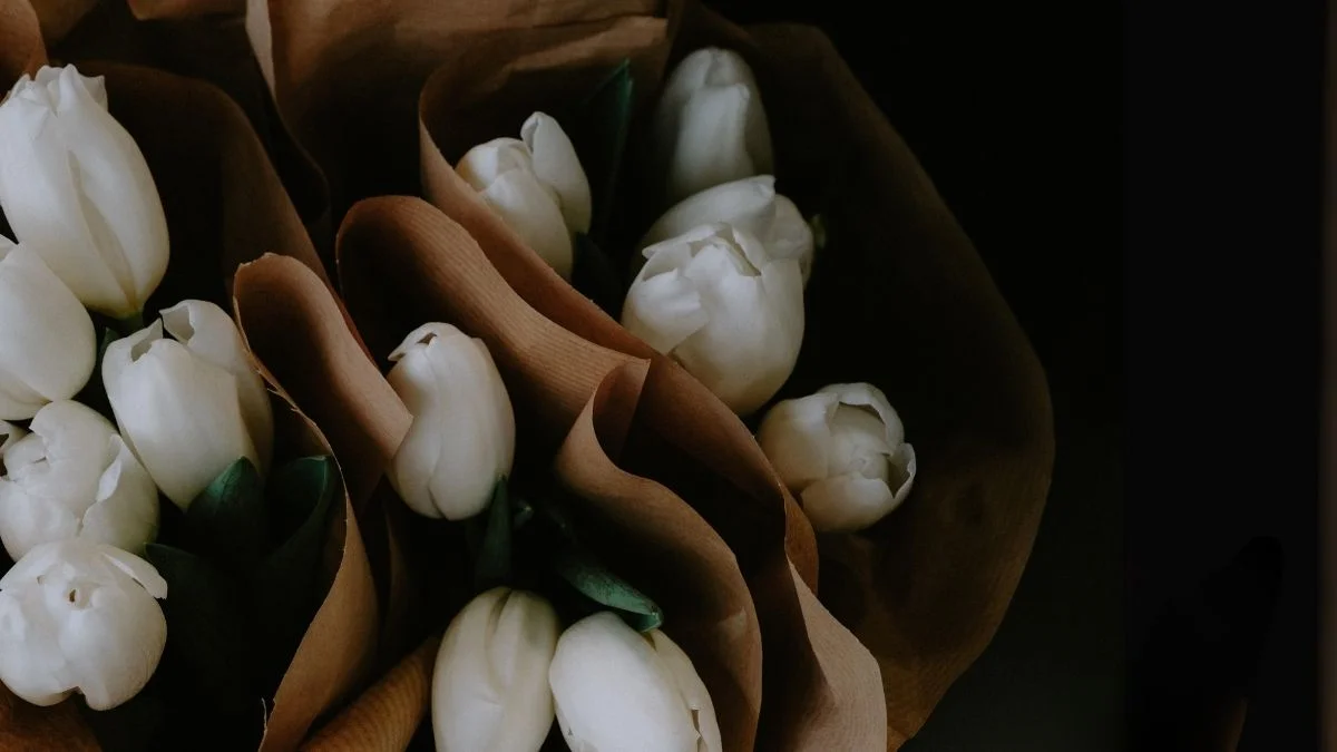 Hình nền hoa Tulip cute