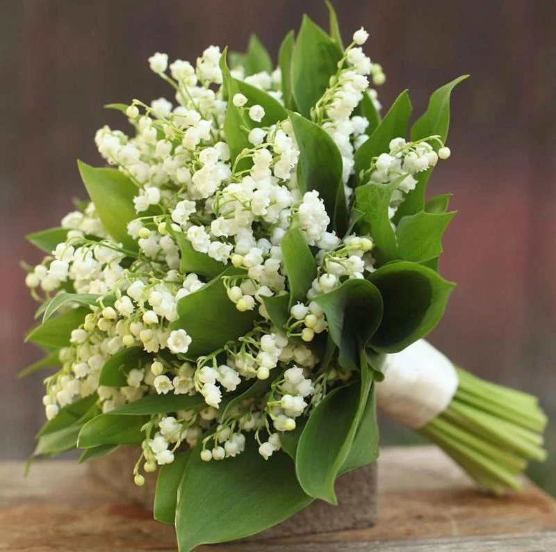 Bó hoa cưới kết từ hoa linh lan
