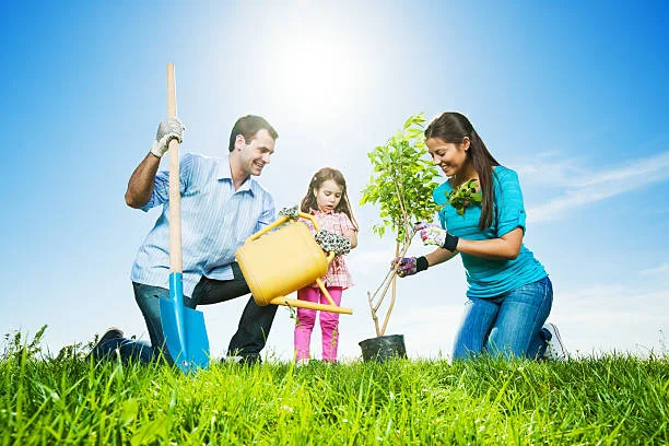 2.457 hình ảnh trồng cây của trẻ em rất hữu ích, tuyệt đẹp cho thiết kế (16)