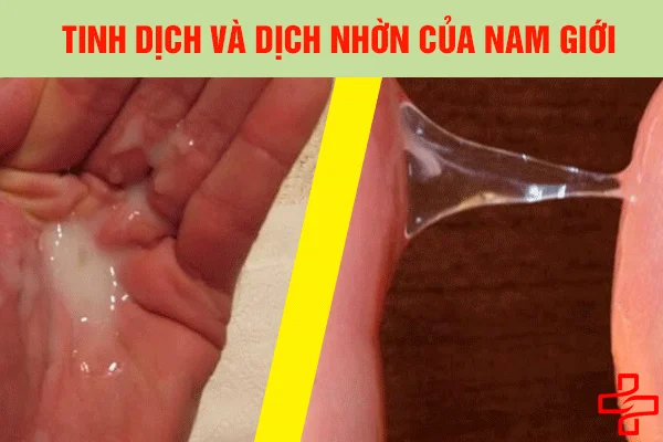 Bộ sưu tập tư the quan hệ khó có thai — ảnh 62