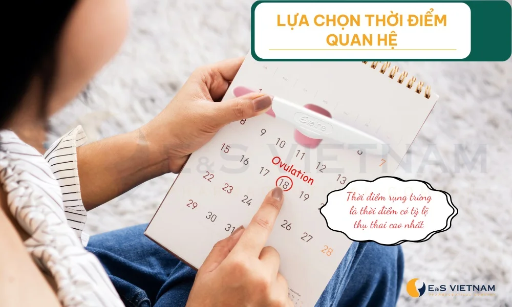 Thời điểm rụng trứng là thời điểm nên tiến hành quan hệ