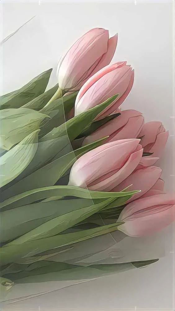 ảnh đại diện hoa tulip