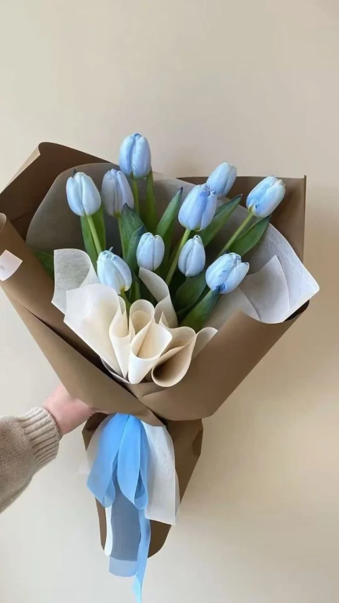 Trọn bộ hình nền điện thoại hoa Tulip Full HD siêu đẹp