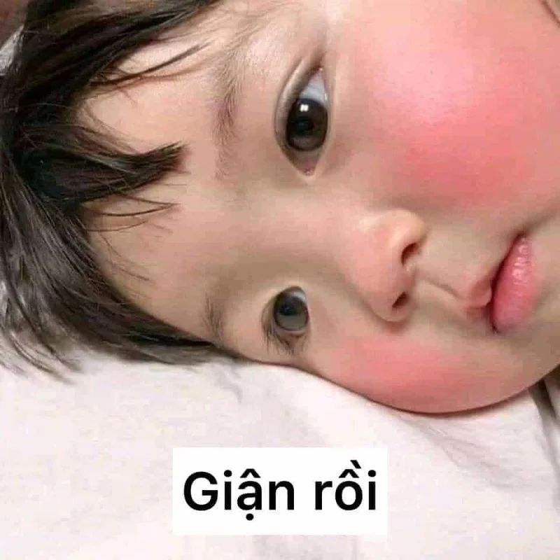 146+ avatar meme cute đang làm mưa làm gió, cực chất