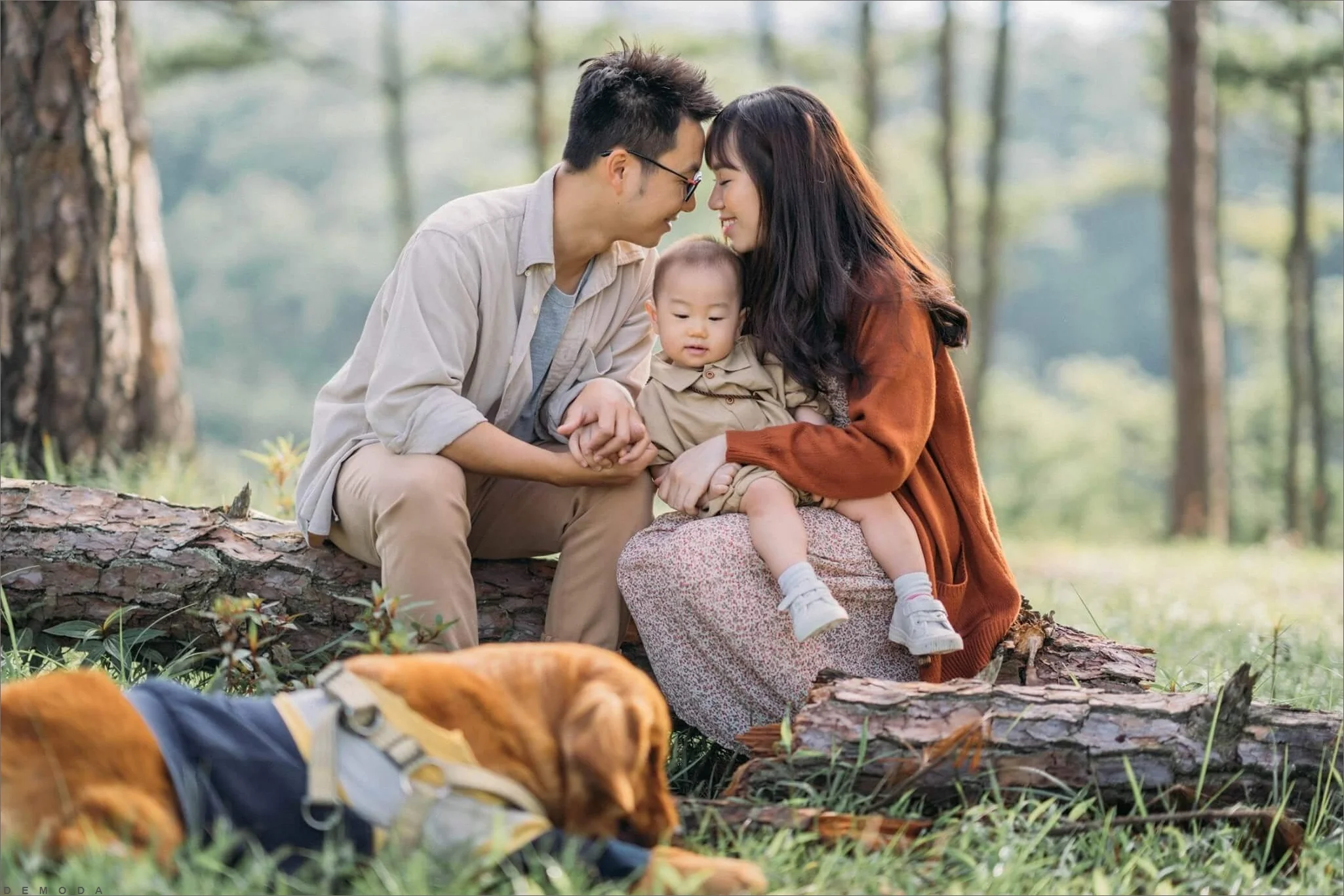 Hình ảnh gia đình hạnh phúc chụp cùng thú cưng trong rừng thông